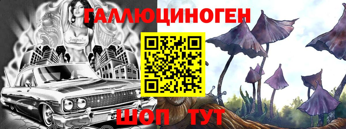 Галлюциногенные грибы Cubensis Дзержинский