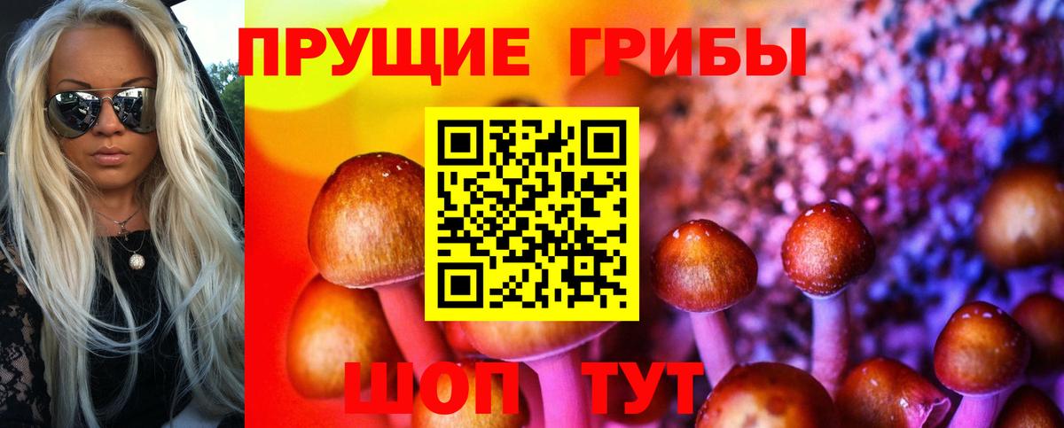 Псилоцибиновые грибы ЛСД  хочу   Псилоцибиновые грибы MAGIC MUSHROOMS  Дзержинский  Вход с VPN 